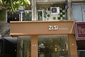 zi gallery