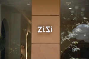 zi gallery